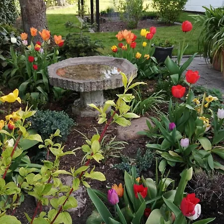 30570-odder-tvaeragervej-16 * Odder